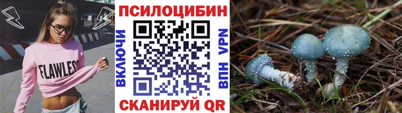 блэк спрут вход  хочу   Вилюйск  Галлюциногенные грибы Magic Shrooms 